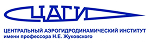 ЦАГИ